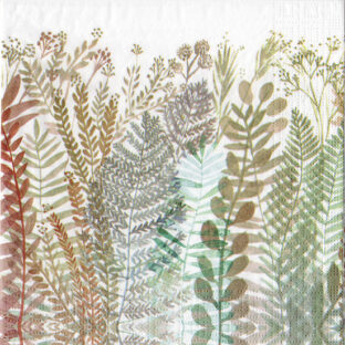 362-0358 ペーパーナプキン 5枚入