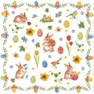 362-0366 ペーパーナプキン 5枚入