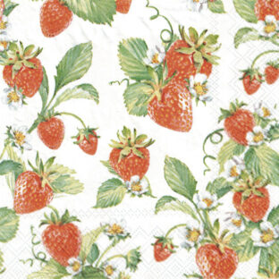 362-0368 ペーパーナプキン 5枚入