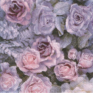 362-0373 ペーパーナプキン 5枚入