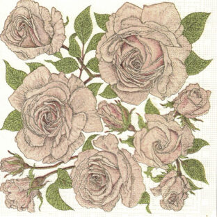 362-0376 ペーパーナプキン 5枚入