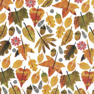 362-0377 ペーパーナプキン 5枚入