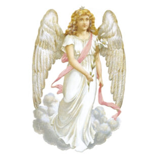 367-5017 ビンテージカード