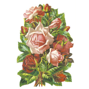 367-5146 ビンテージカード