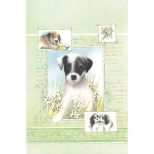 7068-9012 イタリア製カード