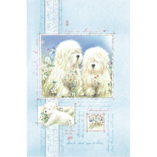 7068-9013 イタリア製カード