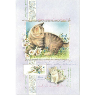 7068-9014 イタリア製カード