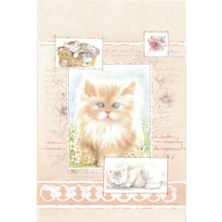 7068-9015 イタリア製カード