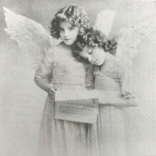 362-9991-13 Pt ペーパーナプキン  2枚入