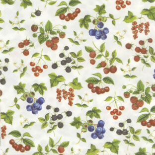 362-9991-25 Pt ペーパーナプキン  2枚入