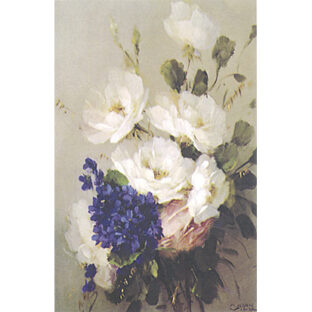 SA50-1274 ソニア・エイムス プリント