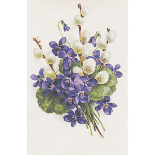 SA50-1282 ソニア・エイムス プリント