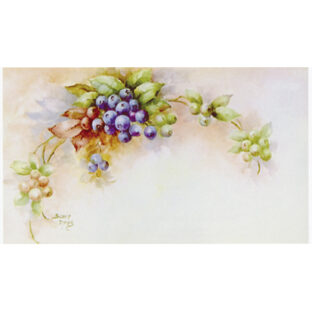 SA50-1249 ソニア・エイムス プリント