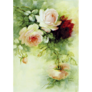 SA50-1250 ソニア・エイムス プリント