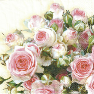 362-9991-34 Pt ペーパーナプキン  2枚入