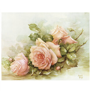 SA50-0018 ソニア・エイムス プリント