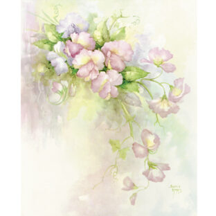 SA50-0021 ソニア・エイムス プリント