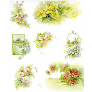 SA50-0029 ソニア・エイムス プリント