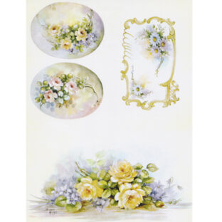 SA50-0030 ソニア・エイムス プリント