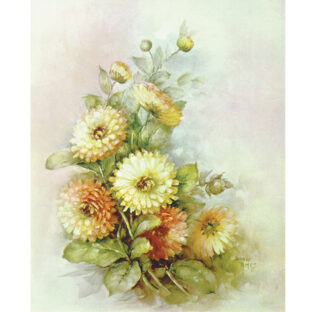 SA50-0033 ソニア・エイムス プリント