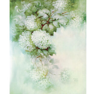 SA50-0034 ソニア・エイムス プリント