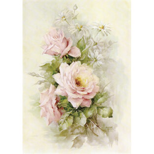 SA50-0035 ソニア・エイムス プリント