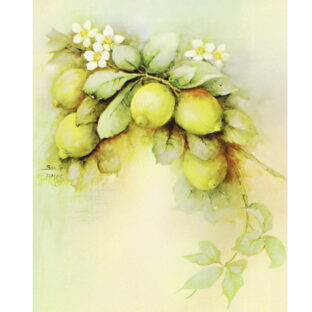 SA50-0036 ソニア・エイムス プリント