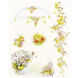 SA50-0037 ソニア・エイムス プリント