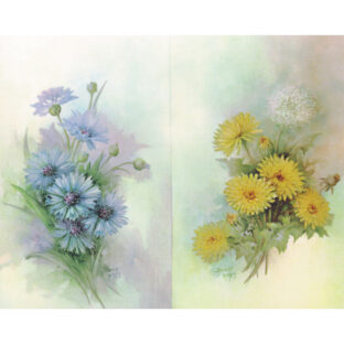 SA50-0039 ソニア・エイムス プリント