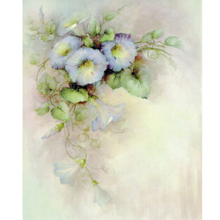 SA50-0042 ソニア・エイムス プリント