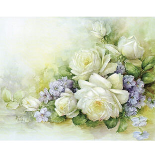 SA50-0044 ソニア・エイムス プリント