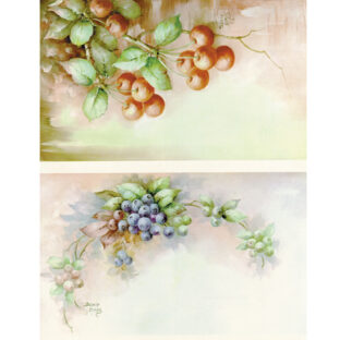 SA50-0046 ソニア・エイムス プリント