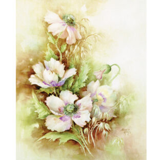 SA50-0056 ソニア・エイムス プリント