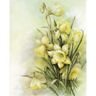 SA50-0059 ソニア・エイムス プリント