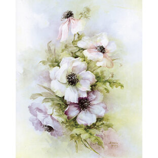 SA50-0065 ソニア・エイムス プリント