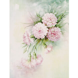 SA50-0066 ソニア・エイムス プリント