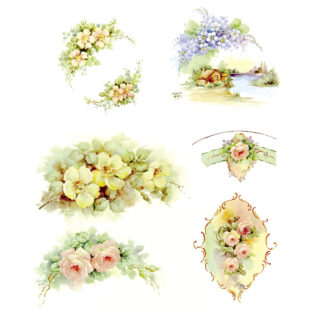 SA50-0075 ソニア・エイムス プリント