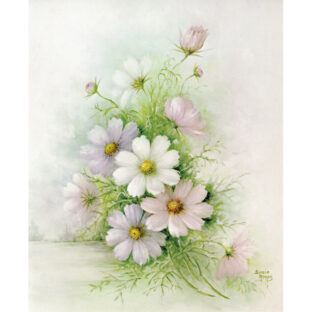 SA50-0080 ソニア・エイムス プリント