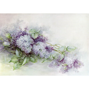 SA50-0085 ソニア・エイムス プリント