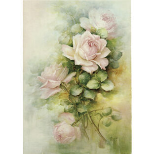 SA50-0094 ソニア・エイムス プリント