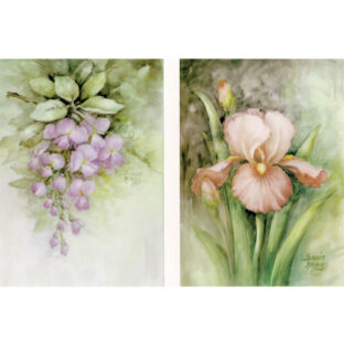 SA50-0096 ソニア・エイムス プリント