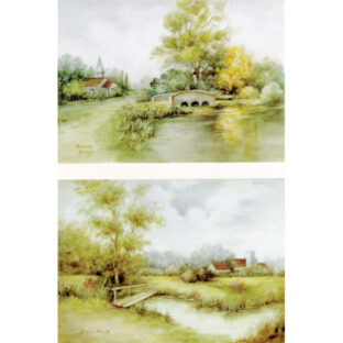 SA50-0098 ソニア・エイムス プリント