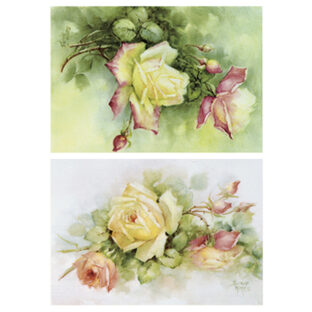 SA50-0103 ソニア・エイムス プリント