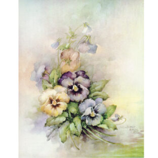 SA50-0015 ソニア・エイムス プリント