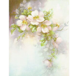 SA50-1203 ソニア・エイムス プリント