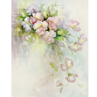 SA50-1207 ソニア・エイムス プリント