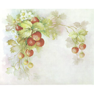 SA50-1208 ソニア・エイムス プリント