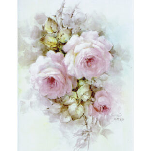 SA50-1221 ソニア・エイムス プリント