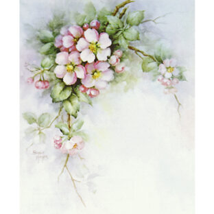 SA50-1206 ソニア・エイムス プリント