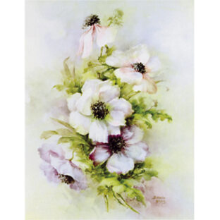 SA50-1238 ソニア・エイムス プリント